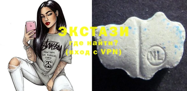 гашик Гусь-Хрустальный