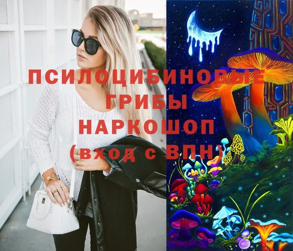 apvp Гусев