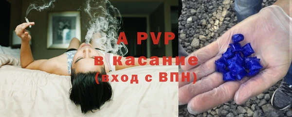 apvp Гусев