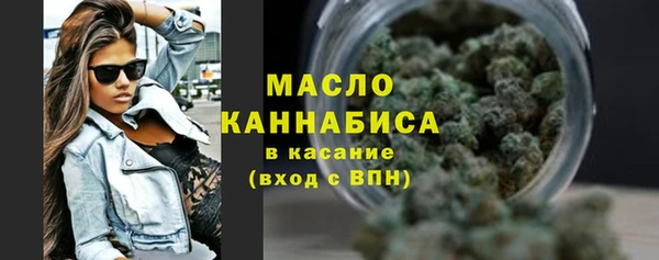 гидропоника Гусиноозёрск