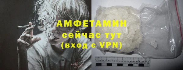 гашик Гусь-Хрустальный