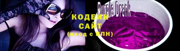 гидропоника Гусиноозёрск