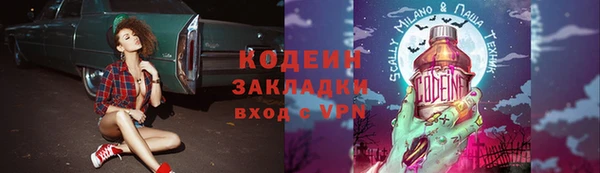 гашик Гусь-Хрустальный