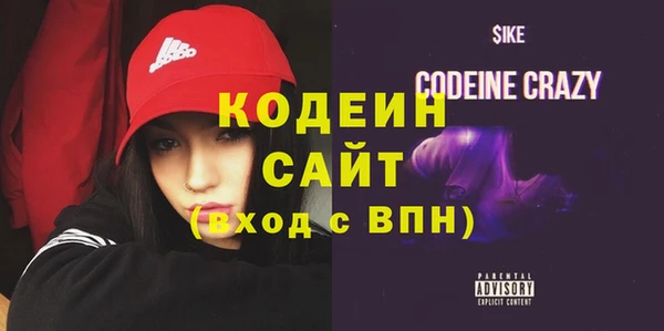 гашик Гусь-Хрустальный