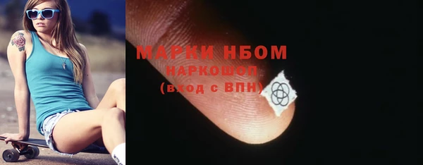 apvp Гусев