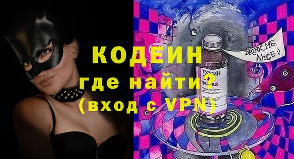 гашик Гусь-Хрустальный
