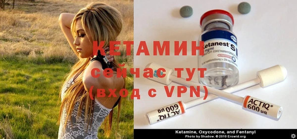 apvp Гусев