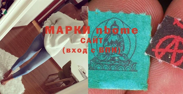 гашик Гусь-Хрустальный
