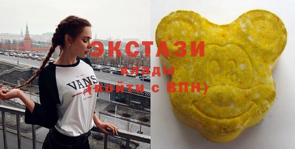 гидропоника Гусиноозёрск