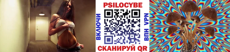 Купить где  Ковылкино  Псилоцибиновые грибы Cubensis 